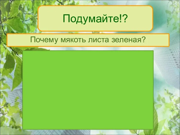 Подумайте!? Почему мякоть листа зеленая?