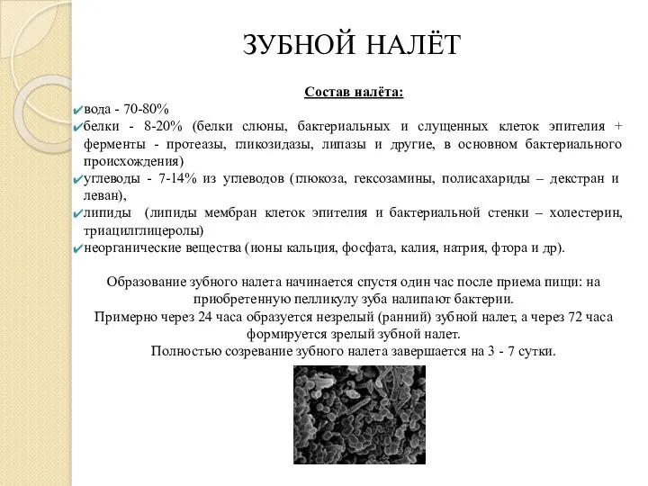 Состав налёта: вода - 70-80% белки - 8-20% (белки слюны, бактериальных и слущенных