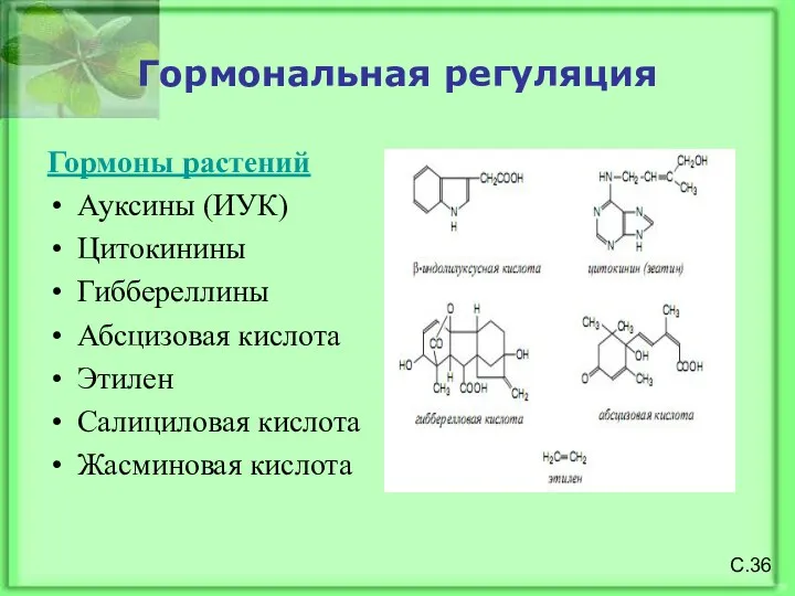 Гормональная регуляция Гормоны растений Ауксины (ИУК) Цитокинины Гиббереллины Абсцизовая кислота Этилен Салициловая кислота Жасминовая кислота С.36