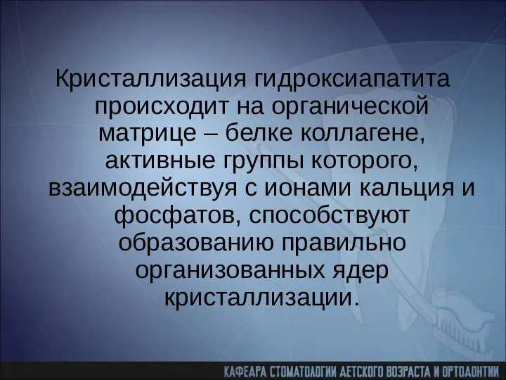 Кристаллизация гидроксиапатита происходит на органической матрице – белке коллагене, активные