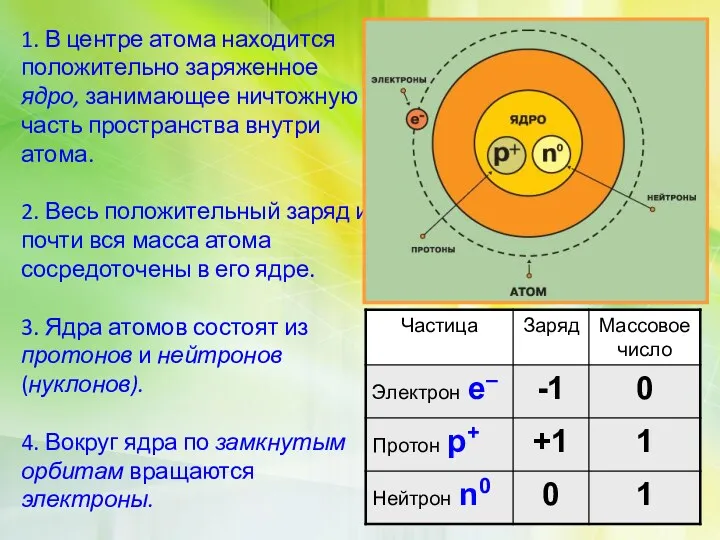 1. В центре атома находится положительно заряженное ядро, занимающее ничтожную