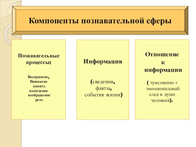 Компоненты познавательной сферы Познавательные процессы: Восприятие, Внимание память мышление воображение