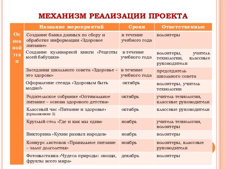 МЕХАНИЗМ РЕАЛИЗАЦИИ ПРОЕКТА