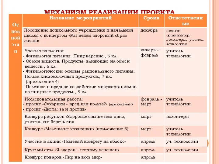 МЕХАНИЗМ РЕАЛИЗАЦИИ ПРОЕКТА