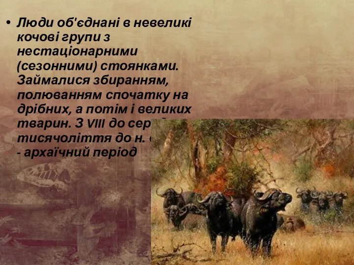 Люди об'єднані в невеликі кочові групи з нестаціонарними (сезонними) стоянками.