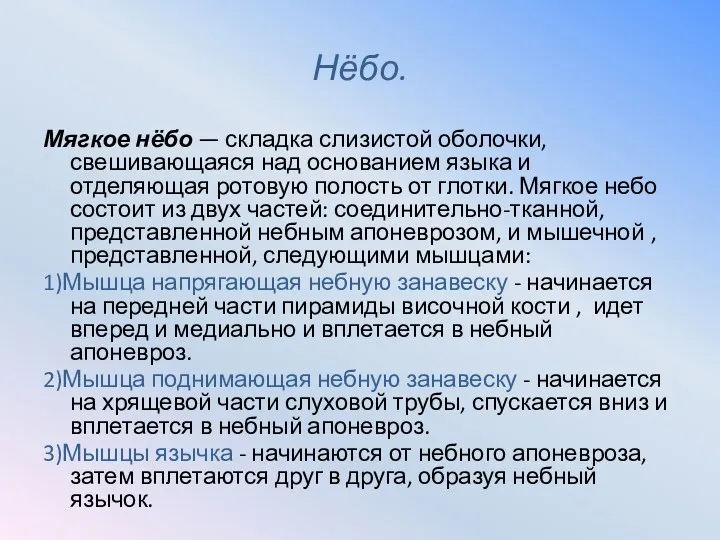 Нёбо. Мягкое нёбо — складка слизистой оболочки, свешивающаяся над основанием