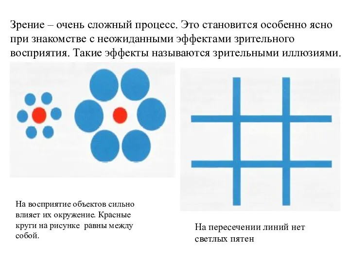 Зрение – очень сложный процесс. Это становится особенно ясно при