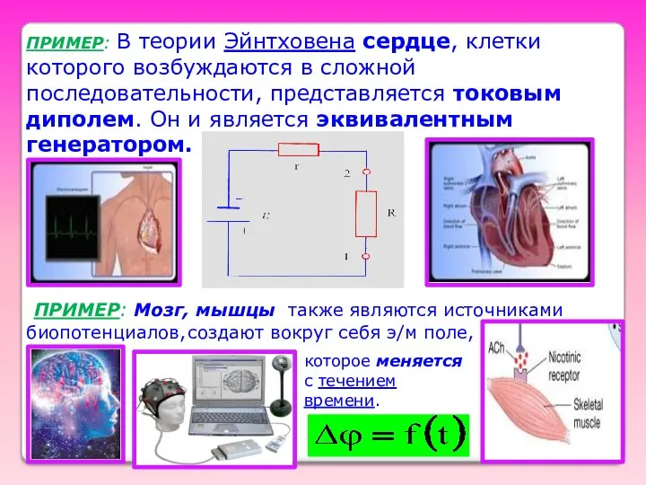 ПРИМЕР: В теории Эйнтховена сердце, клетки которого возбуждаются в сложной последовательности, представляется токовым