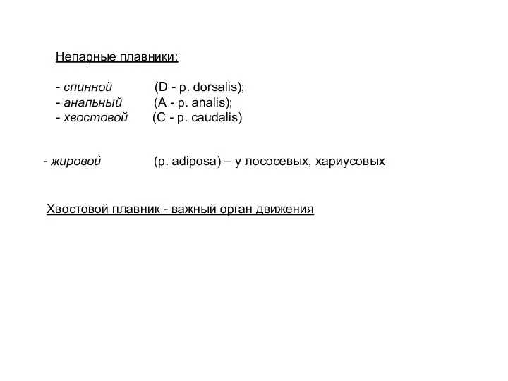 Непарные плавники: - спинной (D - p. dorsalis); - анальный