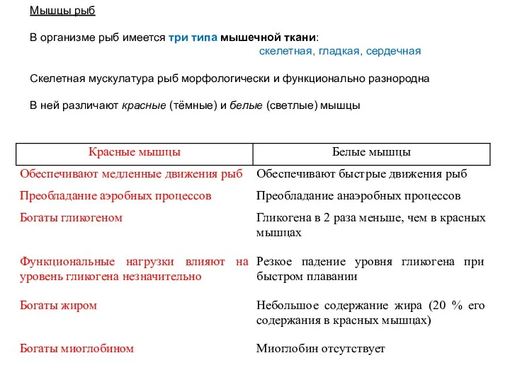 Мышцы рыб В организме рыб имеется три типа мышечной ткани: