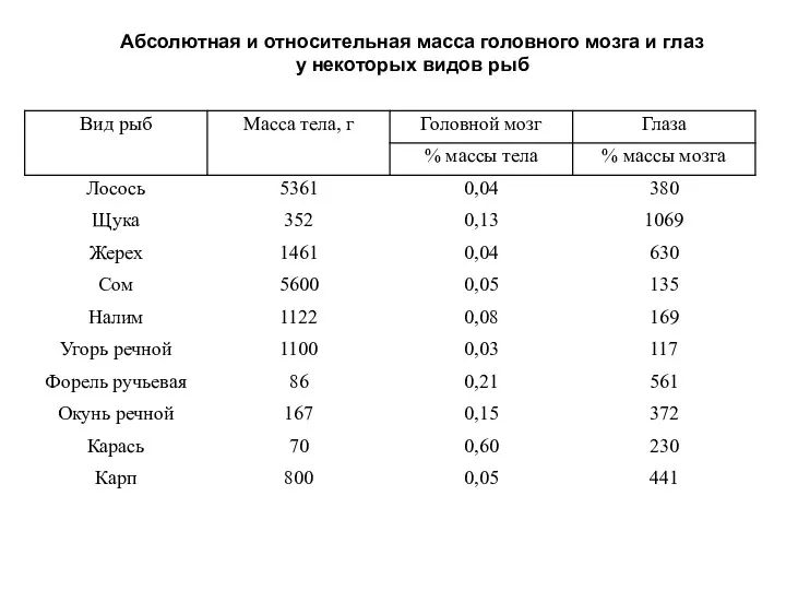 Абсолютная и относительная масса головного мозга и глаз у некоторых видов рыб