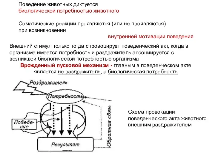 Поведение животных диктуется биологической потребностью животного Соматические реакции проявляются (или