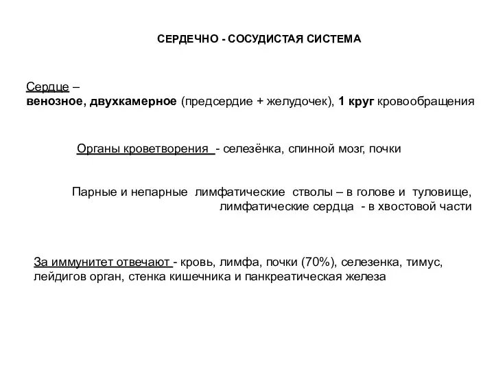 СЕРДЕЧНО - СОСУДИСТАЯ СИСТЕМА Сердце – венозное, двухкамерное (предсердие +