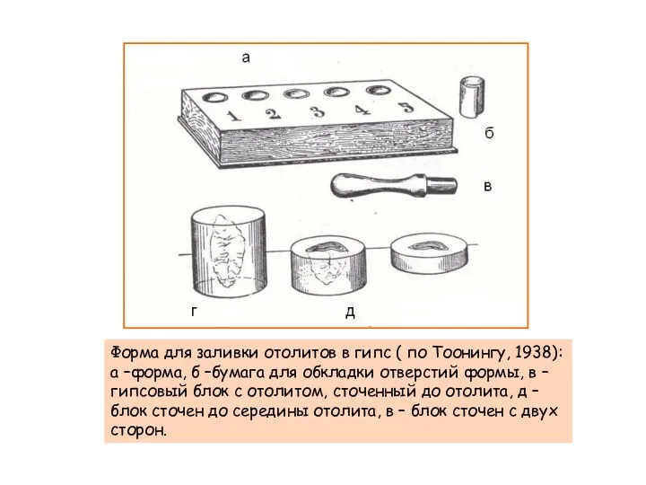 Форма для заливки отолитов в гипс ( по Тоонингу, 1938):