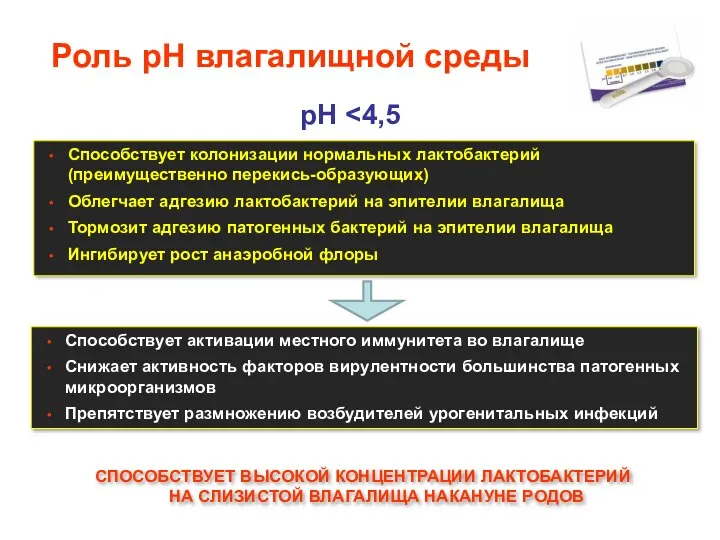 Роль рН влагалищной среды рН Способствует колонизации нормальных лактобактерий (преимущественно