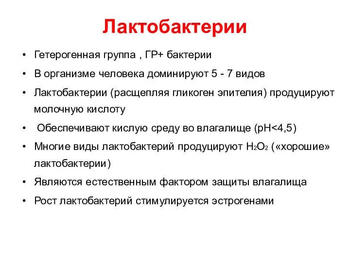 Лактобактерии Гетерогенная группа , ГР+ бактерии В организме человека доминируют