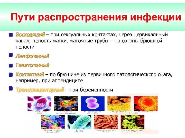 Пути распространения инфекции Восходящий – при сексуальных контактах, через цервикальный