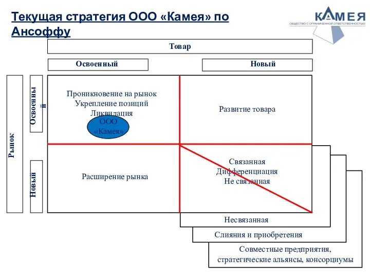 Текущая стратегия ООО «Камея» по Ансоффу