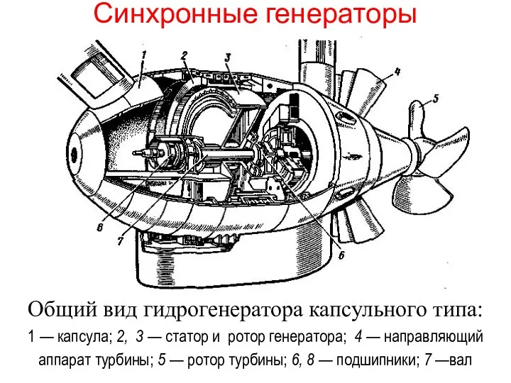 Синхронные генераторы Общий вид гидрогенератора капсульного типа: 1 — капсула;