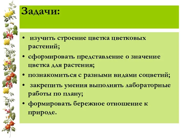 Задачи: изучить строение цветка цветковых растений; сформировать представление о значение