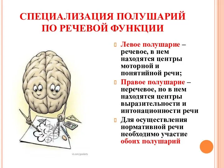 СПЕЦИАЛИЗАЦИЯ ПОЛУШАРИЙ ПО РЕЧЕВОЙ ФУНКЦИИ Левое полушарие – речевое, в нем находятся центры