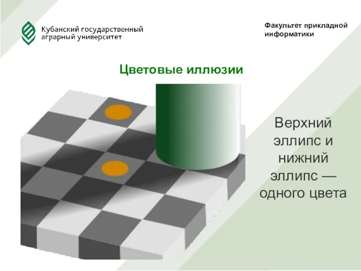 Факультет прикладной информатики Цветовые иллюзии Верхний эллипс и нижний эллипс — одного цвета