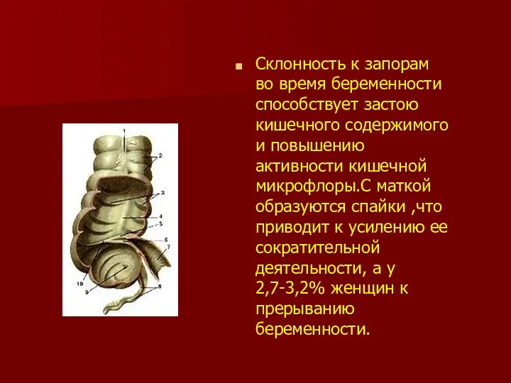 Склонность к запорам во время беременности способствует застою кишечного содержимого