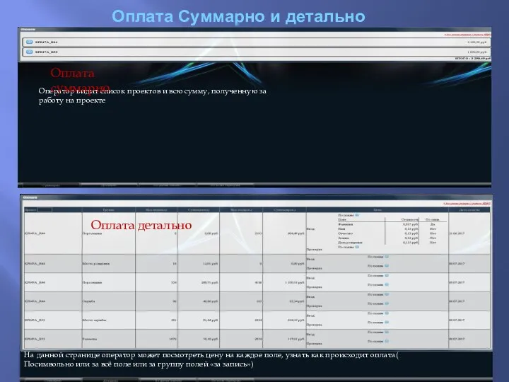 Оплата Суммарно и детально На данной странице оператор может посмотреть