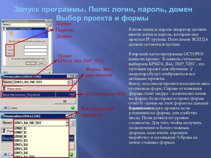 Запуск программы. Поля: логин, пароль, домен Выбор проекта и формы