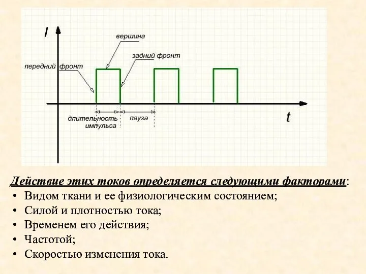 Действие этих токов определяется следующими факторами: Видом ткани и ее