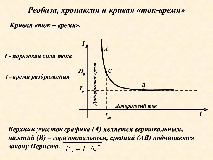 Реобаза, хронаксия и кривая «ток-время» Кривая «ток – время». I