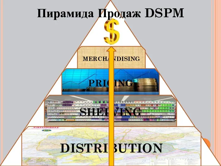 DISTRIBUTION SHELVING MERCHANDISING PRICING Пирамида Продаж DSPM