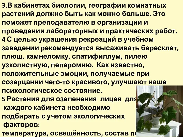 3.В кабинетах биологии, географии комнатных растений должно быть как можно