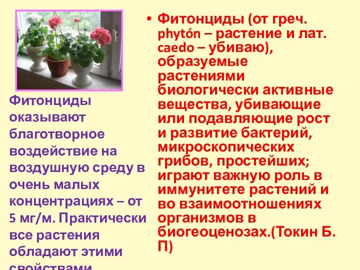 Фитонциды (от греч. phytón – растение и лат. caedo –