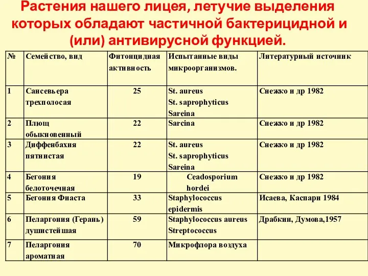 Растения нашего лицея, летучие выделения которых обладают частичной бактерицидной и (или) антивирусной функцией.