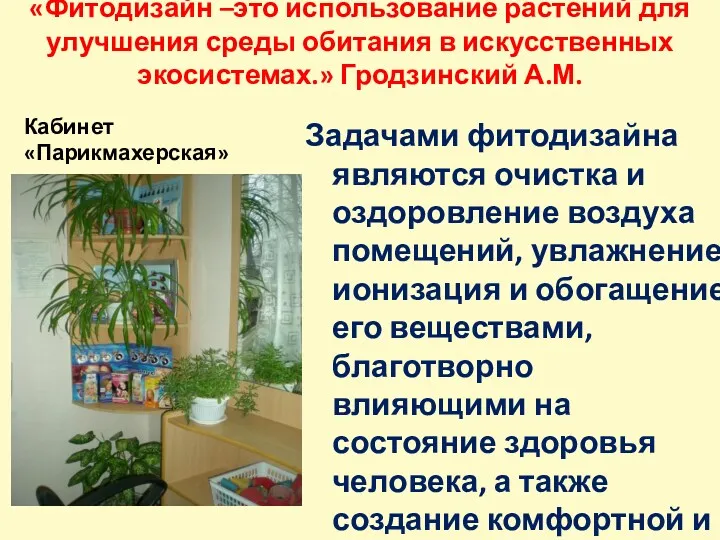 «Фитодизайн –это использование растений для улучшения среды обитания в искусственных