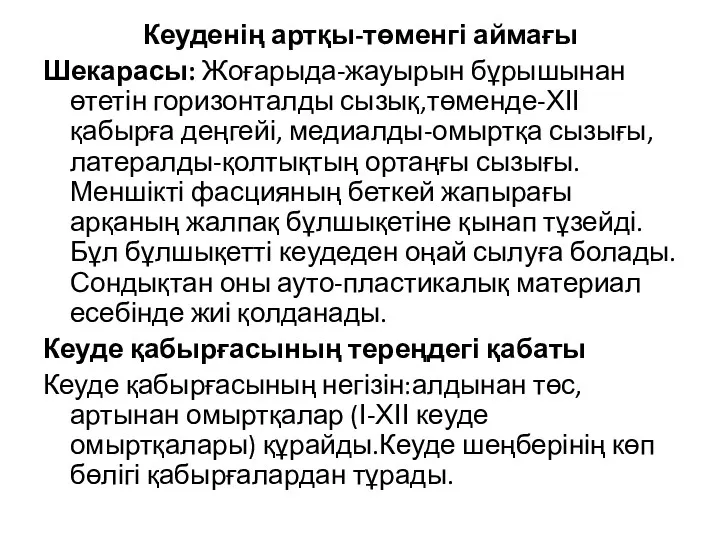 Кеуденің артқы-төменгі аймағы Шекарасы: Жоғарыда-жауырын бұрышынан өтетін горизонталды сызық,төменде-ХІІ қабырға