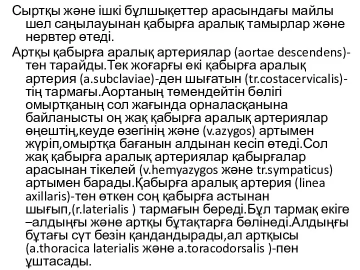 Сыртқы және ішкі бұлшықеттер арасындағы майлы шел саңылауынан қабырға аралық