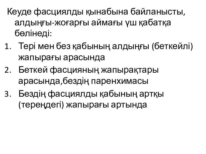 Кеуде фасциялды қынабына байланысты, алдыңғы-жоғарғы аймағы үш қабатқа бөлінеді: Тері