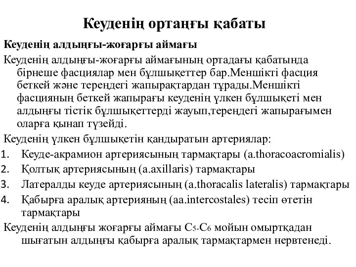 Кеуденің ортаңғы қабаты Кеуденің алдыңғы-жоғарғы аймағы Кеуденің алдыңғы-жоғарғы аймағының ортадағы