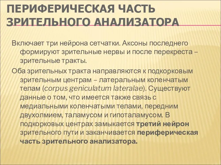 ПЕРИФЕРИЧЕСКАЯ ЧАСТЬ ЗРИТЕЛЬНОГО АНАЛИЗАТОРА Включает три нейрона сетчатки. Аксоны последнего