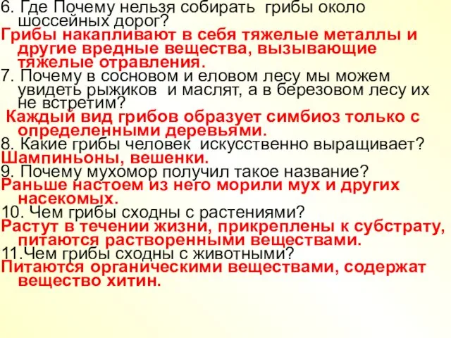 6. Где Почему нельзя собирать грибы около шоссейных дорог? Грибы