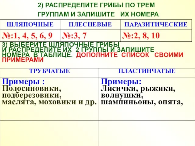 2) РАСПРЕДЕЛИТЕ ГРИБЫ ПО ТРЕМ ГРУППАМ И ЗАПИШИТЕ ИХ НОМЕРА