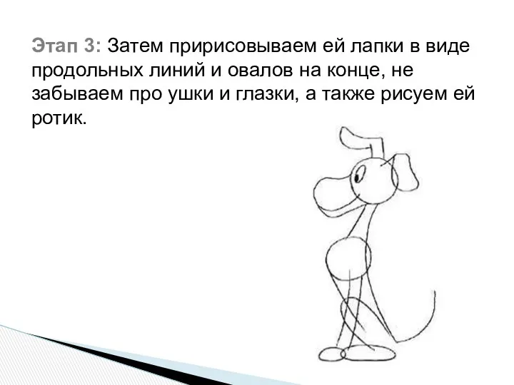 Этап 3: Затем пририсовываем ей лапки в виде продольных линий