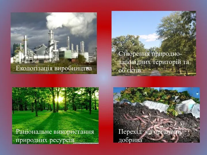 Екологізація виробництва Створення природно-заповідних територій та об'єктів Раціональне використання природних ресурсів Перехід на органічні добрива