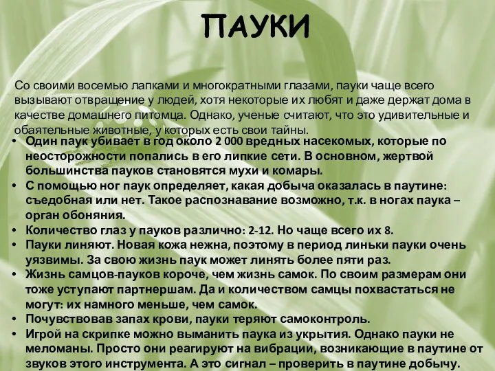 ПАУКИ Со своими восемью лапками и многократными глазами, пауки чаще