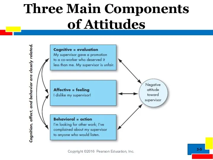 Three Main Components of Attitudes 3-