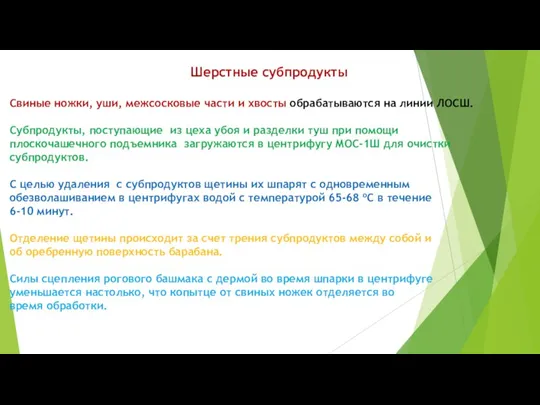 Шерстные субпродукты Свиные ножки, уши, межсосковые части и хвосты обрабатываются