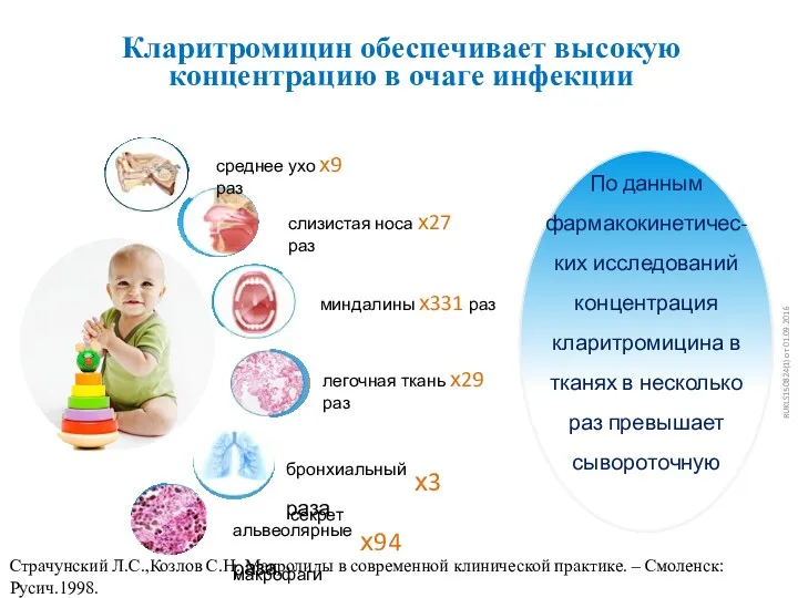 Кларитромицин обеспечивает высокую концентрацию в очаге инфекции По данным фармакокинетичес-ких