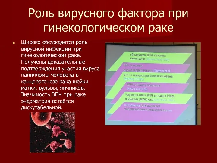 Роль вирусного фактора при гинекологическом раке Широко обсуждается роль вирусной